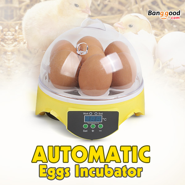 Automatic Eggs Incubator