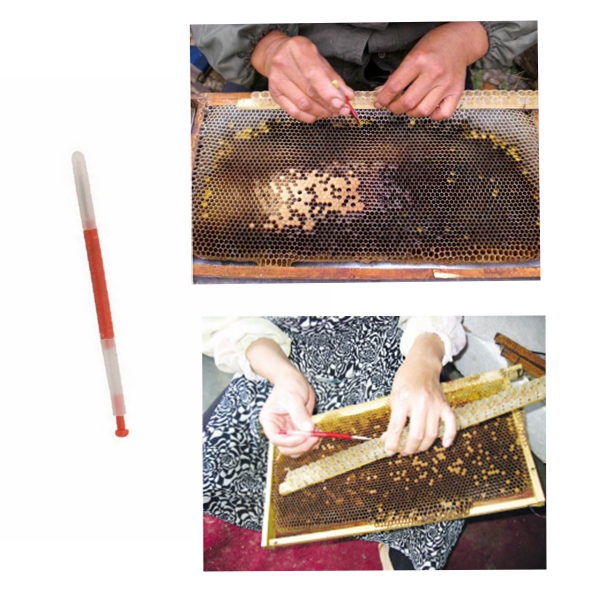 Beekeeping Tools Beekeepers Grafting Tools Retractable Type Beekeeper Needle Grafting