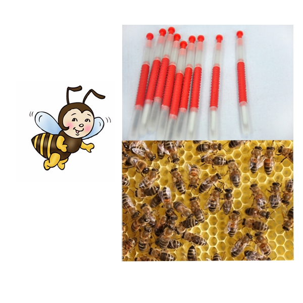 Beekeeping Tools Beekeepers?�Grafting Tools Retractable Type Beekeeper Needle Grafting