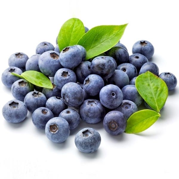 Bonsai Blueberry Seeds