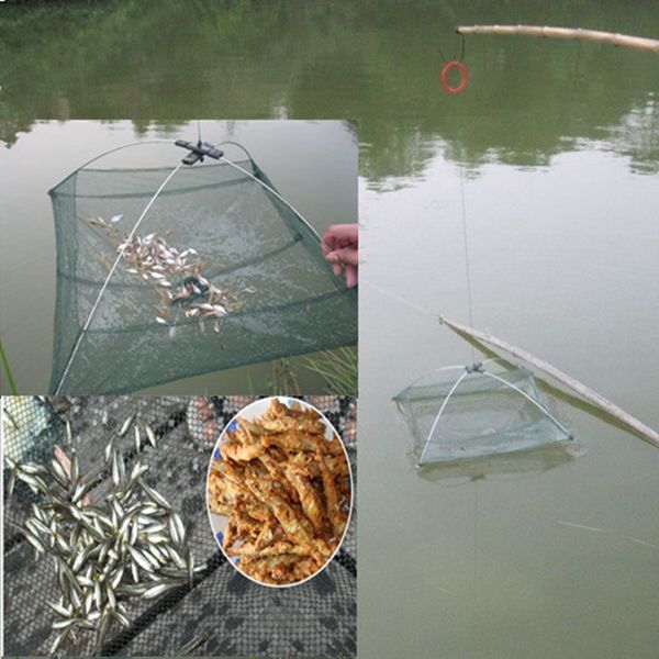 60x60cm Fishing Foldable Mesh Bait Trap Umbrella Cast Dip Net Crab Shrimp Minnow 