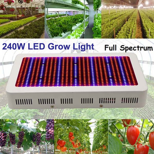 240W Full Spectrum LED Seedling Plant Growth Light