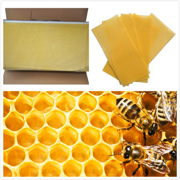 Honeycomb Wax Foundation